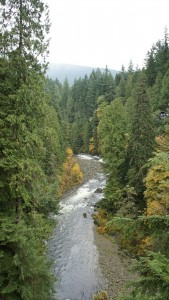 Capilano bridge_1_Tina-Marie Heinrich