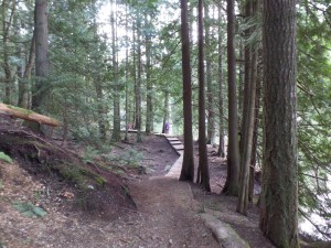 Trails in Colliery Dam Park