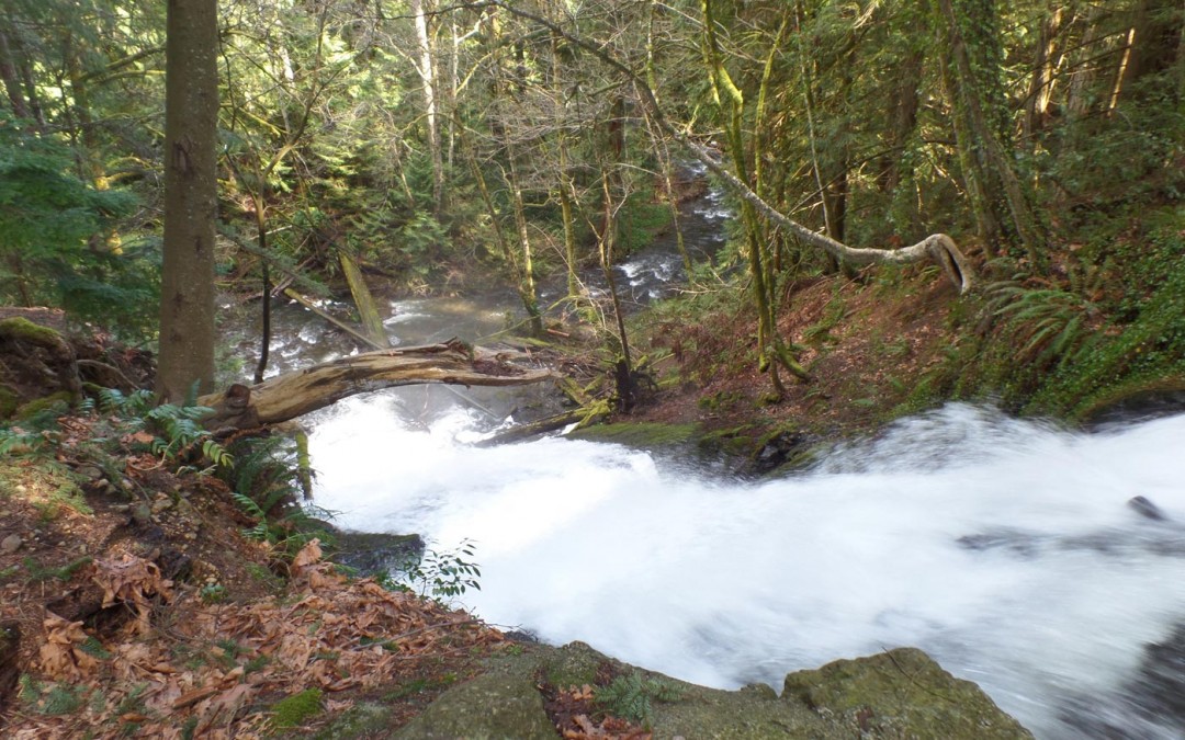 Colliery Dam Park – Semester Abroad Canada