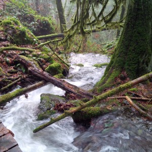 Goldstream Park_3