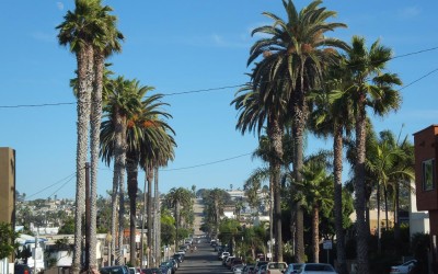 Searching for a Place to Live – Semester Abraod USA