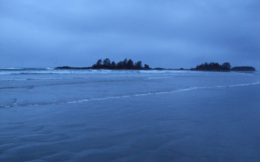 Surfen in Tofino – Auslandssemester Kanada