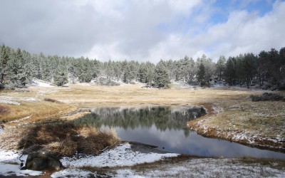 Cleveland National Forest – Semester Abroad USA