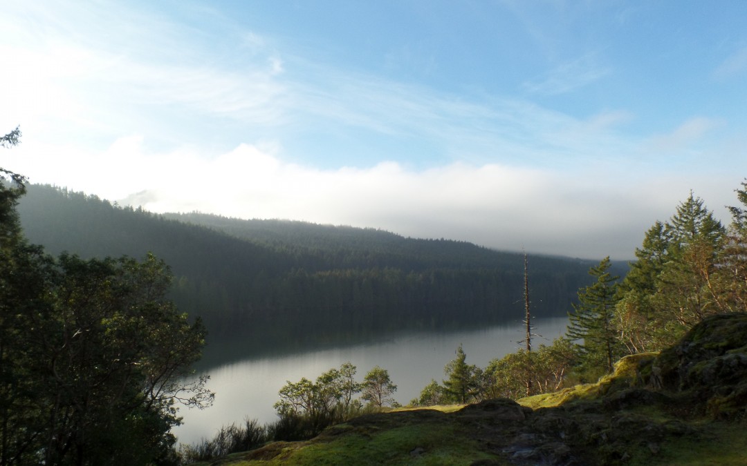 Westwood Lake – Auslandssemester Kanada