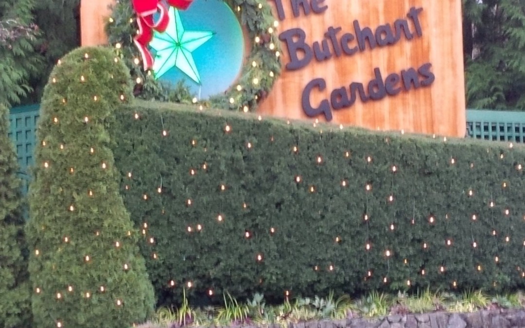 Butchardt Gardens zur Weihnachtszeit – Auslandssemester Kanada