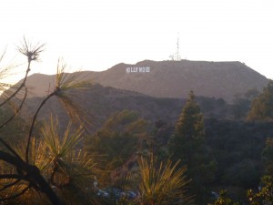 Hollywood_klein