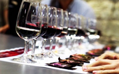 Hunter Valley Trip – Semester Abroad Australia
