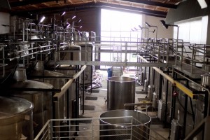 inside-a-winery-1024x681