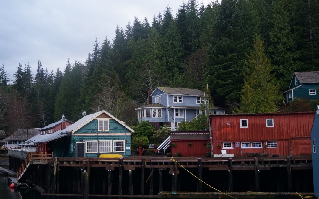 Trip to Port Hardy – Semester Abroad Canada