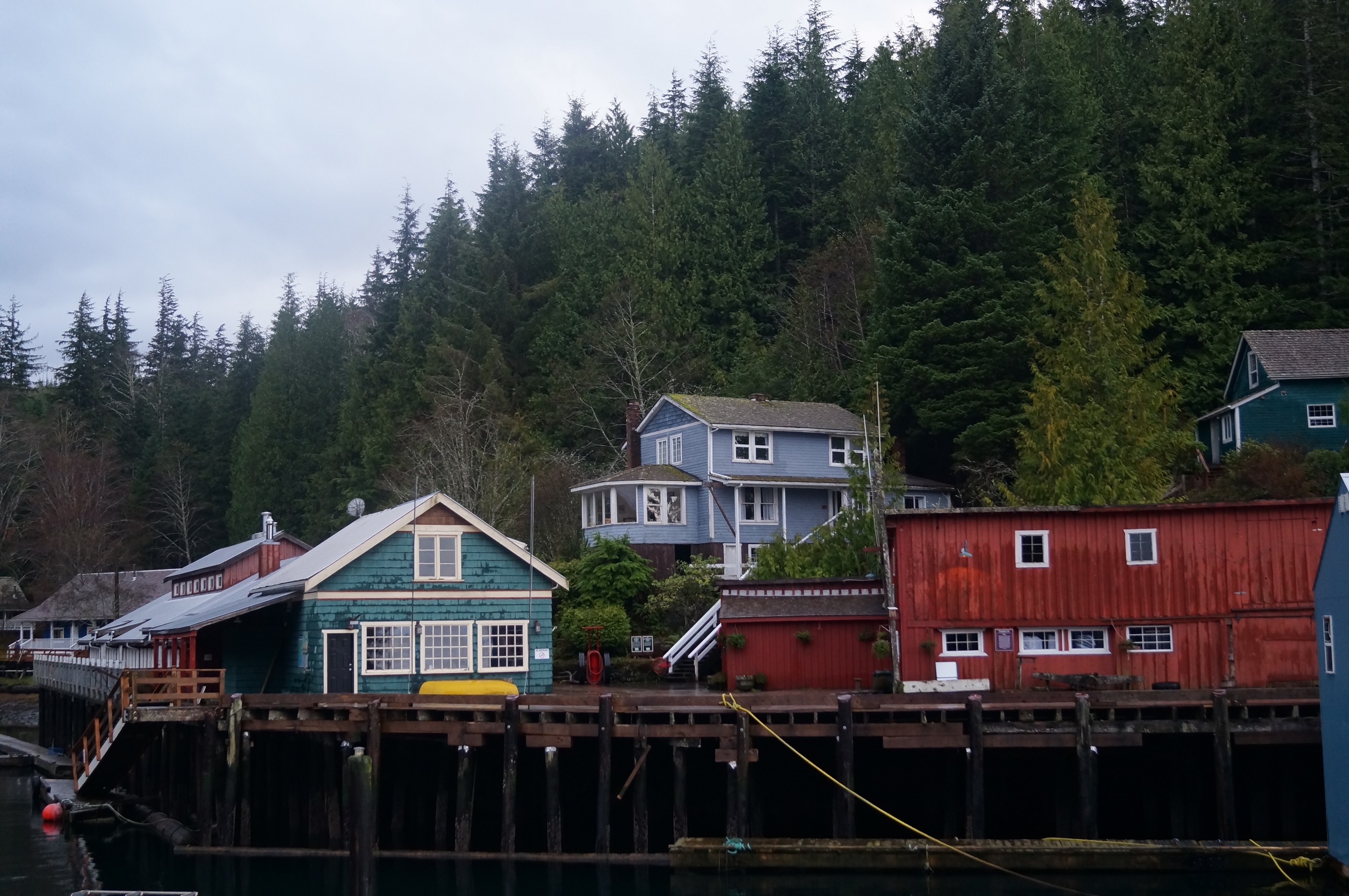 Trip to Port Hardy Semester Abroad Canada