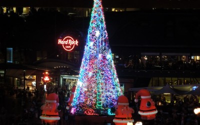 Christmas in Australia – Semester Abroad Australia