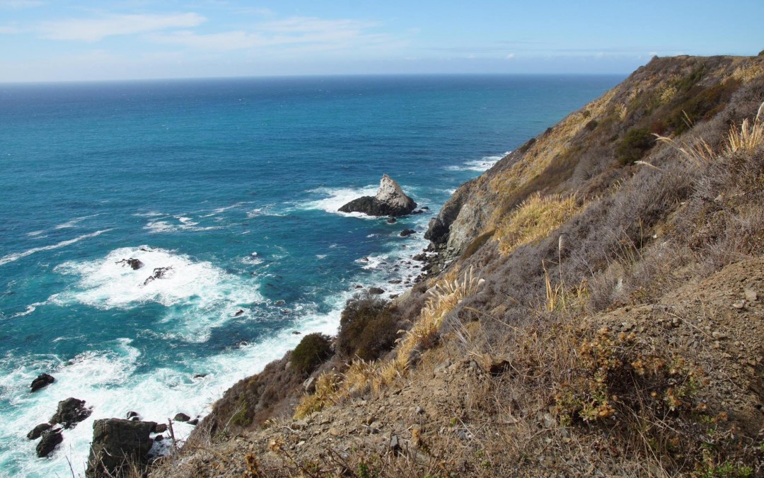 Ausflug nach San Francisco – Auslandssemester USA