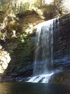 Ammonite Falls