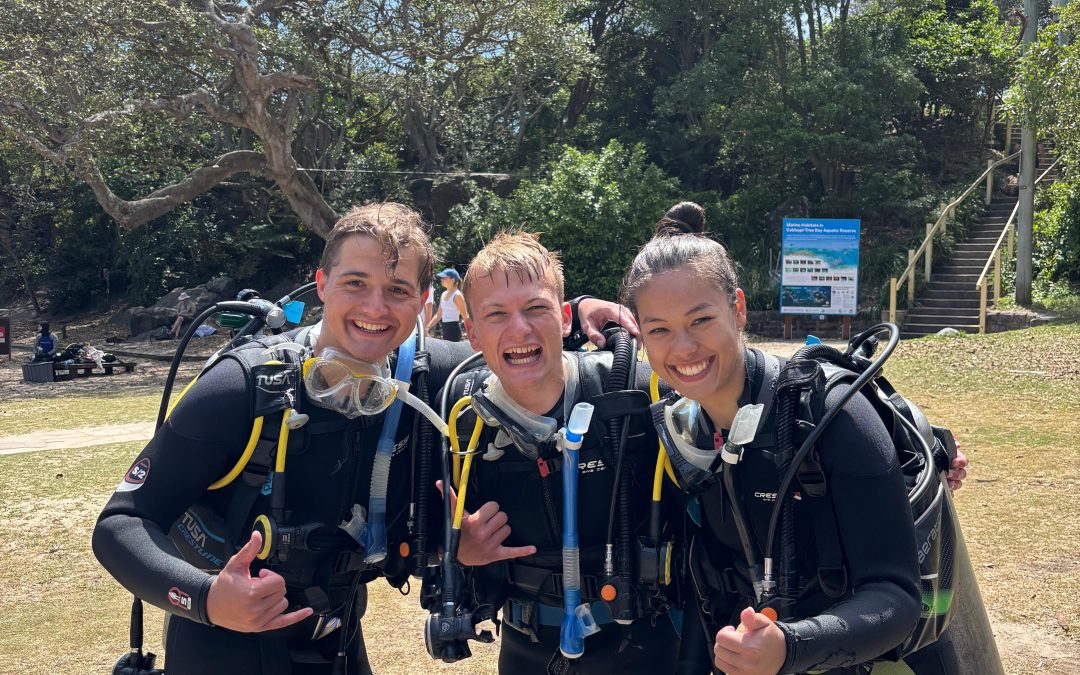 Cabbage Tree Bay hautnah: Tauchen lernen am Fuße des ICMS